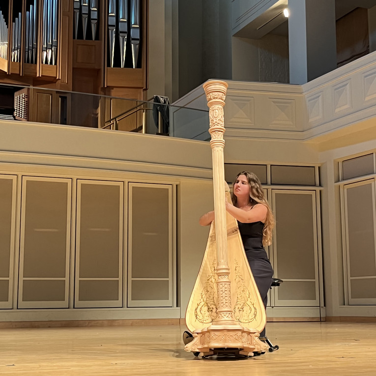 woman playing the harp